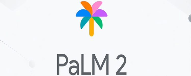 Tackling Medical Inaccuracies: Experience of Google’s AI Tool Med-PaLM 2 at Mayo Clinic on Liontamer Top Blog