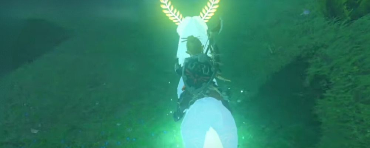 How to Get the Lord of the Mountain in The Legend of Zelda: Breath of the Wild on Liontamer Top Blog